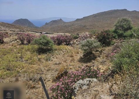 Bodrum Turgutreis Mandıralar Mevki Villa İmarlı Satılık Arsa