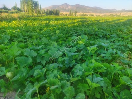 Konya Seydişehir Boyalı Mah.satlık Sulu Tarla 3560 M2.antalya Yolu 600 Myol Kıyısı