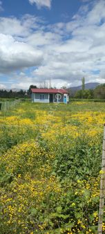 Isparta Atabey İslamköy'de Satılık Konteyner Evli Yolu Açık Hobi Bahçe