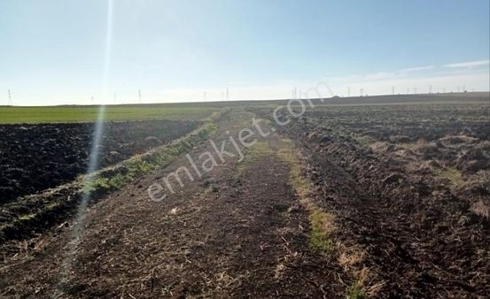 Kırklareli Vize Evrenli Köyü Adalar Mevkii Bağ-bahçe- 317 M2 Tapulu Parsel