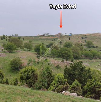 Güneyden Bilecikte İnhisarda Tek Tapu 2350 M2 Tarla