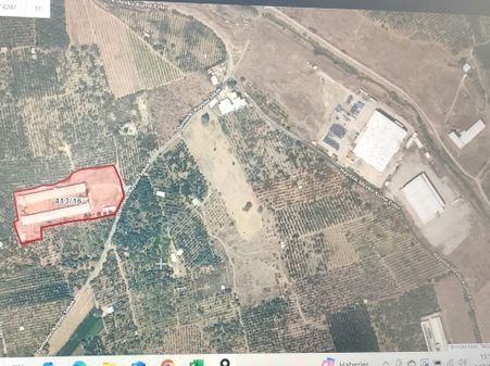 Eges'den Kemalpaşa'da Satılık Aktif Tavuk Çifliği