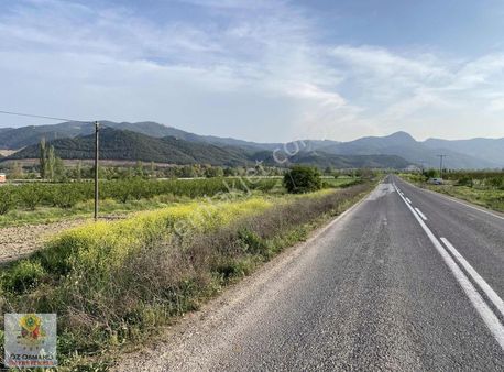 Osmaneli Asfaltına Sıfır 1.225 M2 Kaçırılmaz Arazi