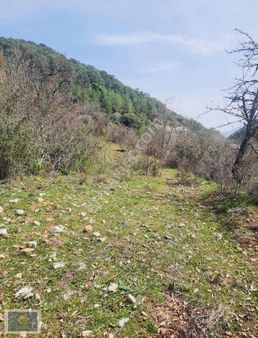 Gökçeovacıkta Köyiçinde Satılık Müstakil Tapulu 2 Dönüm Tarla