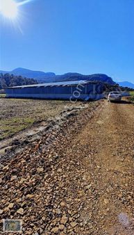 Lavinia'dan Satılık 1.358m² Tarla