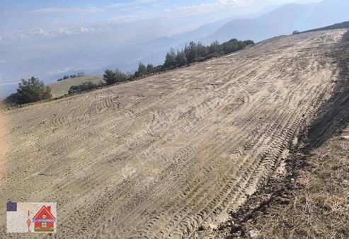 Satılık Tarla 6300 M2