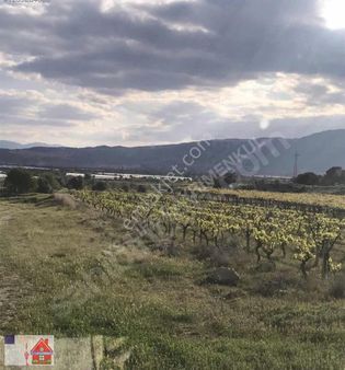 Buldan Yenicekentte 4.4 Dönüm Fırsat Bağ