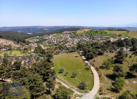 Çanakkale Ezine Çamköy'de İmar Sınırı Satılık Fırsat Tarla
