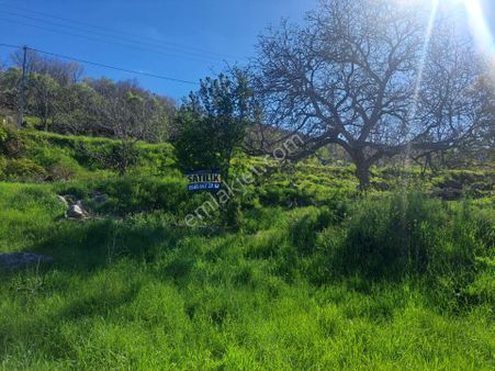 Burun Köyünde 382 M2 Köyiçi Arsa