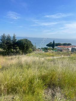 Şarköy Aşağı Kalınmış Mh,de Ana Yol Üzerinde 293m2arsa Satılıktır