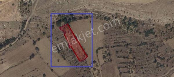 Anadolu Emlaktan Yukarıfenese Mevkisinde Satılık Bağ