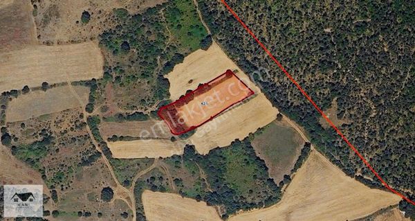 M.kemalpaşa Kazanpınar Köyünde Doğa İçerisinde 3.529m2 Arazi