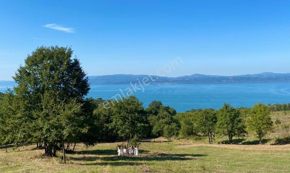 İznik Göllüce’de Panoromik Göl Manzaralı 12.817 M² Satılık Tarla
