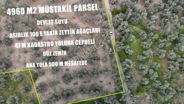 Viitrinden Havran Ebubekirde 4960 M2 Anayola 500 M Mesafede Zeytinlik
