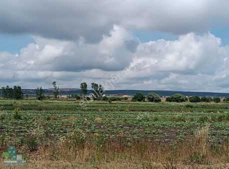 Fiyatı Düşürdük Sulu Tarla Tek Tapu Saray Edirköy