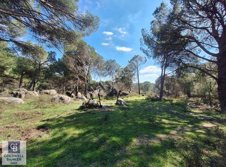 Ayvalık Bağyüzü Satılık 5868 M² Yatırımlık Tarım İmarlı Arazi