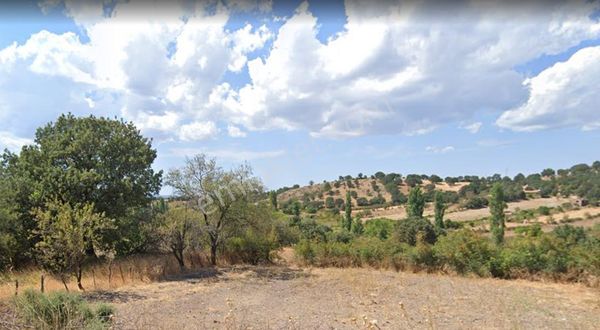 Ayvacık Misvak Köyünde 3264 M2 Satılık Tarla