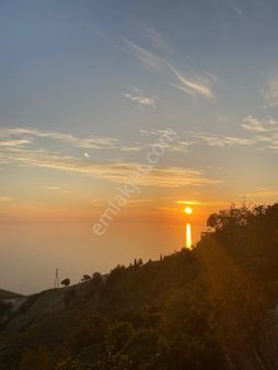 Çamlıpınar Alanı Mahallesin'de Satılık Deniz Manzaralı Arazi