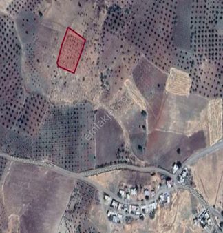 Musabeyli Madenyolunda 3450 M2 Tek Tapu Ucuz Tarla