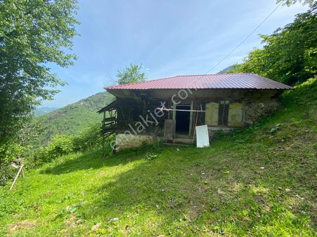 Trabzon Araklıda Satılık Ahşap Ev Ve Fındıklık 22 Dönüm