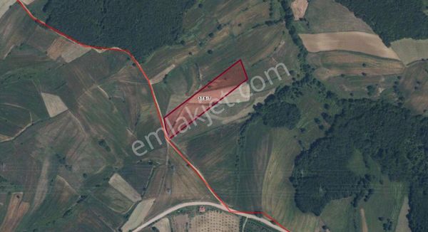 Asfalt Yol Cepheli Yatırım Fırsatı