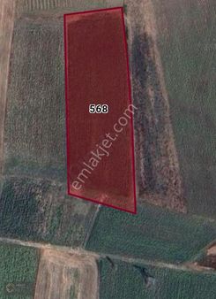 "balıkesir Susurluk Ümiteli'de Uygun Fiyat Yatırımlık Tarla!