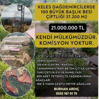 Burhan Ardıç'tan Keles Dağdemircilerde 100 Büyük Başlık Besi Çiftliği 37.200 M2