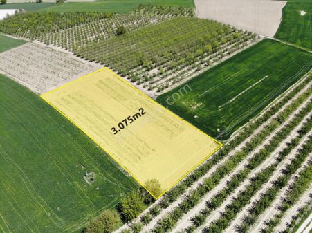 Antalya Elmalı Eymir Mah'de Tarıma Elverişli 3.075m2 Satılık Tarla