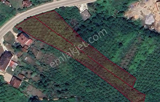 Fatsa Meşebükü Satılık Arazi
