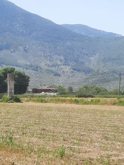 Milas Selimiye'de 8750 M² Satılık Tarla