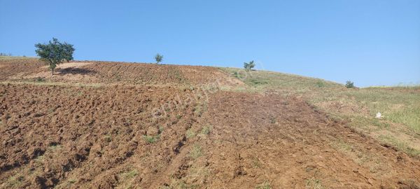 Yatirim Arazi Şehire 2500 Metre Mesafede