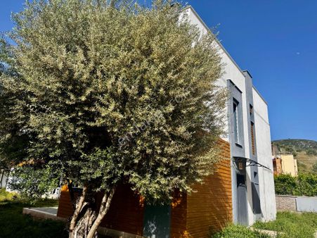 Denize 300 M Müstakil Villa