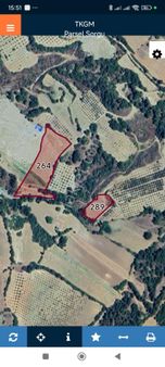 Manisa Akhisar Hamit Mh. 2300 M2. Zeytinlik Ve 8300 M2. Satılık Tarla