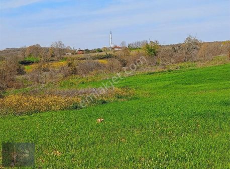 Killik Köyünde Satılık 12200m2 Tek Tapu Arazi