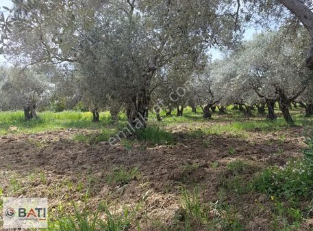 Torbalı Batı Gayrimenkul Den Satılık Tarla