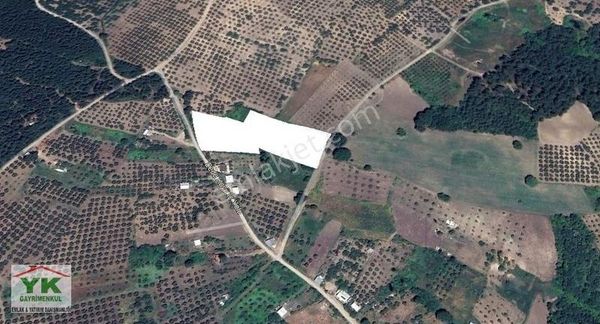 Mudanya Dedeköy Kadastro Yoluna Cephe 7800 M² Tarla