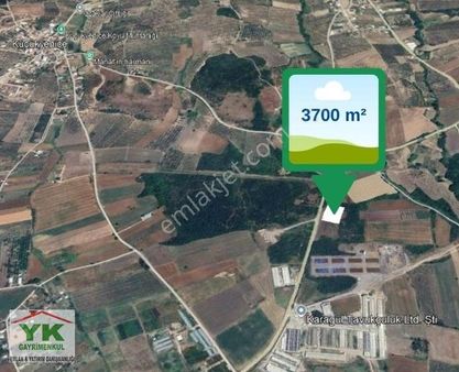 Mudanya Dedeköy 3700 M² Satılık Tarla