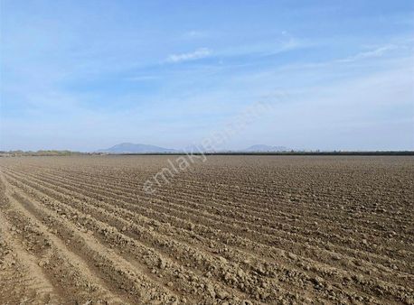 Adahan'dan Topraklı Köyü 70 Dönüm Tarla