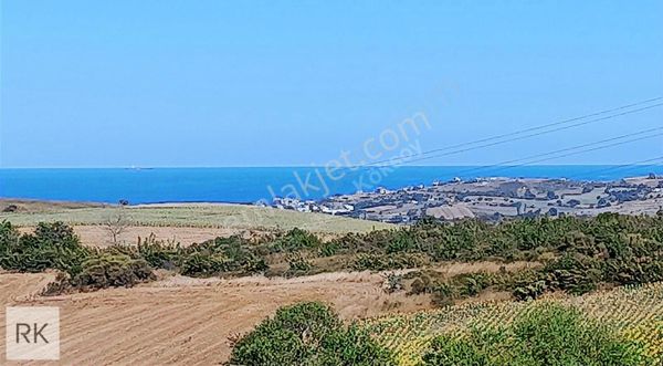 Tekirdağ Naip Köyü Deniz Manzaralı Asyport Limanına Komşu Tarla