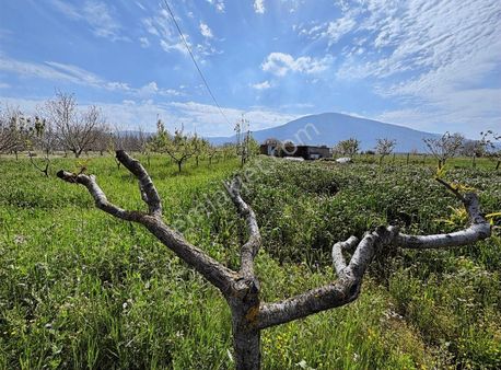 Yeşilyurt Bağ Evi Ve 4,5 Dönüm Bahçesi