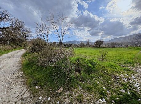 Yeşilyurt Yol Kenarı 3 Dönüm Tarla