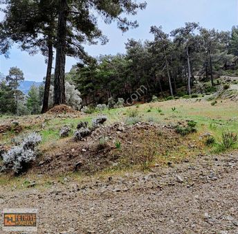 Fethiye Yakacık Mah. Satılık 1945 M2 Tarla
