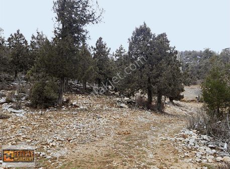 Seydikemer Bayırköy De 501 M2 Satılık Tarla