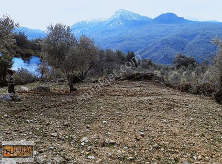 Seydikemer Orta Bayır Da Satılık 752 M2 Tarla