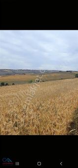 Polatlı Kuşçu Da 1 Dönüm Hisse Tapulu