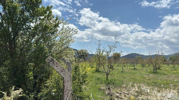 Asya Emlaktan Ağlasun Kum Mah De Satılık (cevizlik)