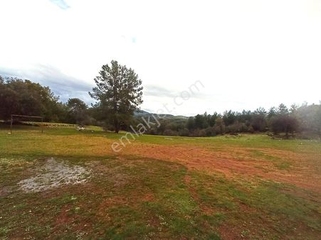 Goldhouse Dan Satılık 2.613m2 İmarlı Arsa Müstakil Parsel