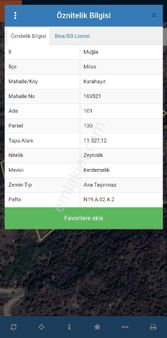 Muğla Milas Karahayıt Satılık 11.500m² Zeytinlik Gökhan Alkaya'dan