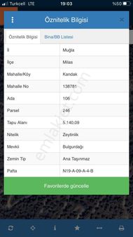 Muğla Milas Kandak Satılık 5.000m² Zeytinlik Gökhan Alkaya'dan