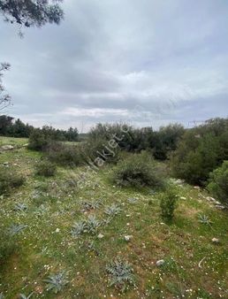 Artegayrimenkul'den Kızılağaç'ta 3.172 M2 Fırsat Arazi